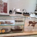 커피로이트 이미지