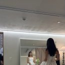 이본느 | w8. 이본느 아뜰리에 촬영 드레스 피팅 후기