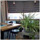 행정사사무소진정 이미지