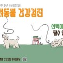 나무동물병원 이미지