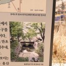 해화무 이미지