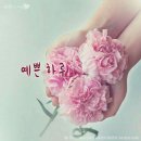 하루 이미지