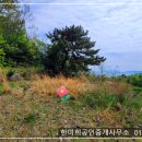 경남고성부동산 경남고성부동산토지매매 - 하일면 아름다운 바다 전망의 묘터 납골당 토지매매 340제곱미터 (103) 이미지