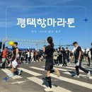 2024 평택항 마라톤대회 여자 10km 한시간 완주 후기