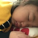 고기사랑수족관