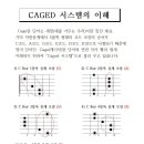 CAGED 시스템의 이해 이미지