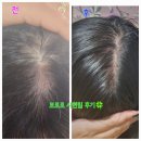 올포레코리아 | 올포레 천연화장품 후기모음집