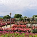 곡성-203 이미지
