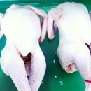 달님할인마트 이미지
