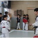 작전동합기도 거인합기도총본관에서의 특별한 경험