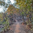 상록체육관 이미지