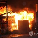 김효주축사 이미지