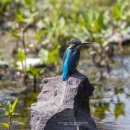 화북면보건지소 이미지