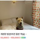 쉼표 더하기 이미지