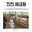 충북 진천 아이와 가볼만한곳 에코팜 동물체험농장 내돈내산 후기