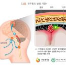 건강하나로약국 이미지