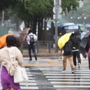 신당천 이미지