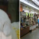 신포역사