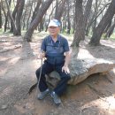 남산원천탕 이미지