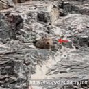 행복한동행 전의 태권도장 | [몽골] 몽골여행 2일차 욜린암 (Yolyn Am) / 몽골전통음식 허르헉 /10월 몽골여행