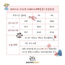 *종료*[파라디소 리조트 엔 스파] 티웨이 새벽항공 프로모션 이미지