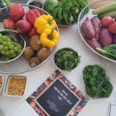 아동요리지도사 2급 이미지