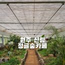 원주 숲카페 정글숲카페