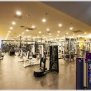 쏘마휘트니스 이미지