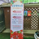 아이들과 딸기 체험 삼훈행복농원, 딸기 무제한 시식!