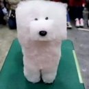 네모네모 이미지