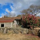 양떼목장 | 제주 양떼목장 내돈내산 후기｜공항근처, 겨울 제주패스 여행코스