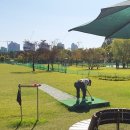 파크골프공원 파크골프장 이미지