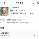 마지막 주 일상 2탄ㅣ예술의 전당 한가람 미술관 고흐전 눈치게임 성공ㅣ강남역 리퍼크ㅣ강남 비아살라리아