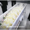 고신대학교복음병원 장례식장 앞 이미지