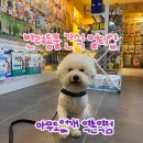 아무도없개역촌역점