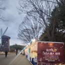 🎄울산의 밤 크리스마켓 후기｜울산대공원 연말에 가볍게 즐기기 좋은 야시장