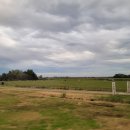 초야목장 이미지