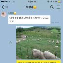 스토리양꼬치
