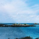 중앙로79번길 이미지