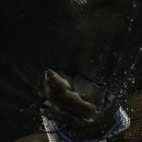 아재클럽낚시카페 이미지