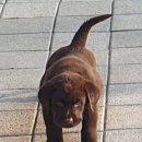 올림푸스원 이미지