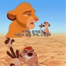 하쿠나마타타 이미지