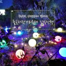 월곶초등학교 | 월곶 군하숲길, 통진향교의 새로운 모습 - 김포 월곶 달빛축제 다녀온 후기