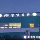 싸인채널