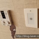 수출대로 이미지