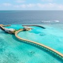 효진팜2 이미지