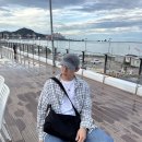 파시에라 - 중구 계백로 1700 | 남자 숄더백 추천 심플하고 깔끔한 블랙 파시에라 메신저백 후기