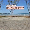 태안 신두57캠핑장 새로생긴 D구역 후기 (해변뷰+해루질+노을맛집)
