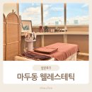 웰레스테틱 일산점 | 일산피부관리 웰레스테틱일산점 I 가성비 좋은 물광 관리받고 온 후기