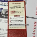 미니첼리스